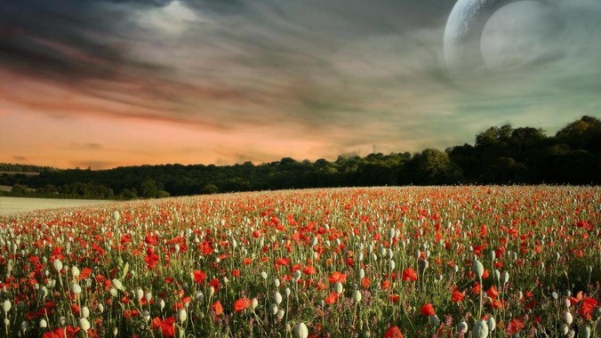 为什么电信运营商们肯拼命加下行带宽，却对上行严防死守?